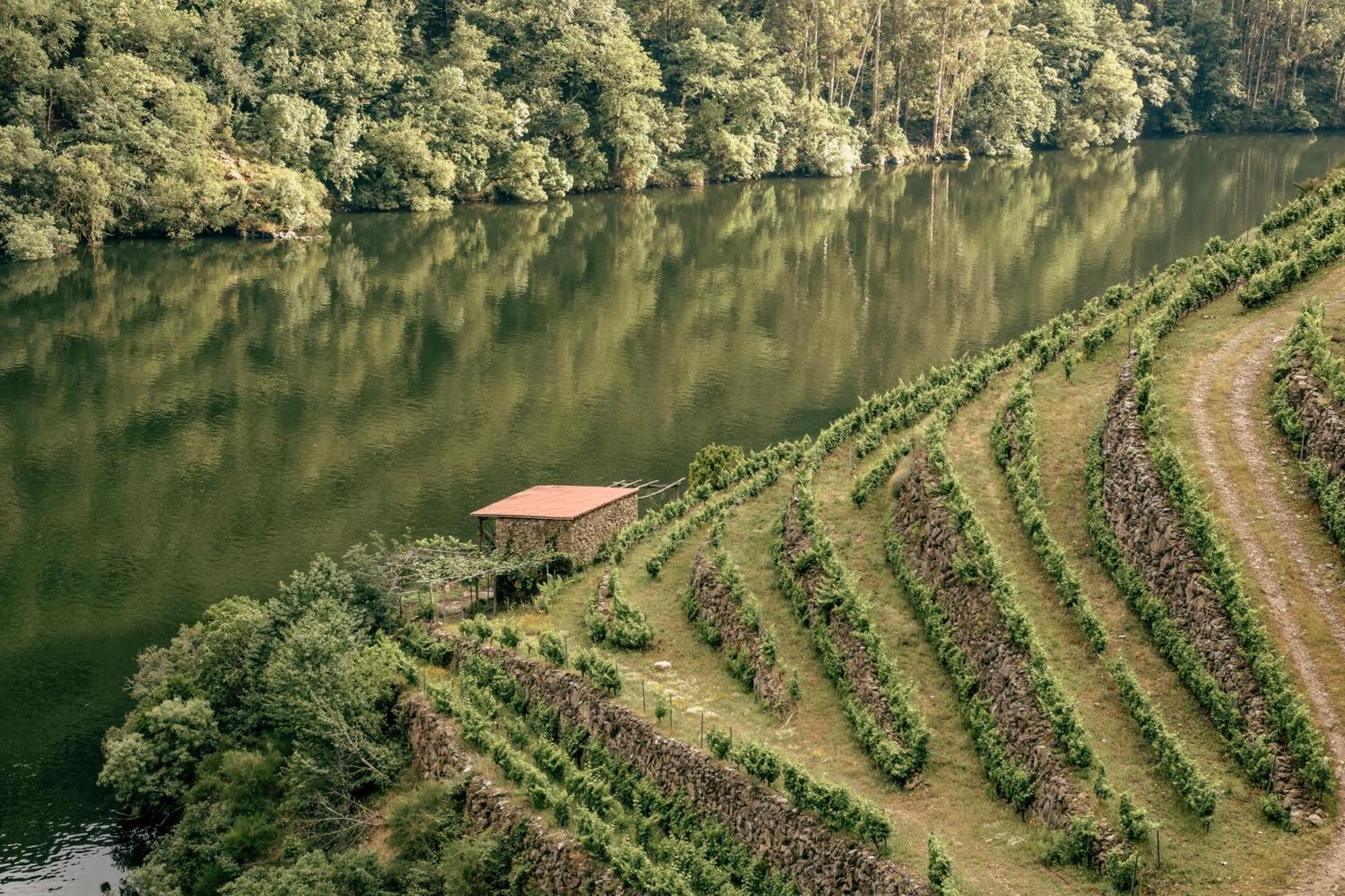 Casinas Do Sil Pensionat Cristosende Exteriör bild